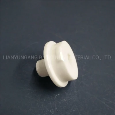 Customized White Industrial Zirconia Ceramic Tube Zro2 Special